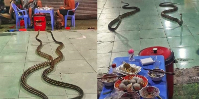 Nổi da gà với sự xuất hiện hai “bạn nhậu” đặc biệt, CĐM quyết tìm ra sự thật