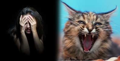 Giải Mã Nỗi Sợ: Chứng sợ mèo khó hiểu đã gây ám ảnh với không ít người