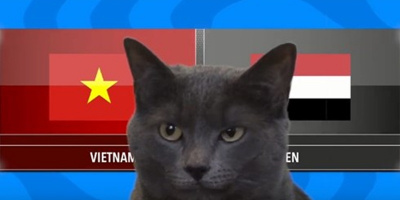 NHM như được "tiếp thêm lửa" sau kết quả dự đoán của Mèo “tiên tri” trận Việt Nam - Yemen