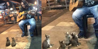 Đang buồn vì không có khán giả, ca sĩ hát rong bỗng được 4 "hoàng thượng" cổ vũ