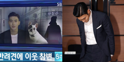 Siwon cúi đầu xin lỗi vụ chó cắn người tử vong sau 2 năm, Knet phản ứng: "Tên khốn không biết xấu hổ