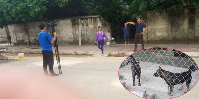 Chủ đàn chó dữ tấn công bé 7 tuổi cầm mảnh sành uy hiếp, xúc phạm người đến đưa tin