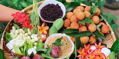 Bạn có biết vì sao chỉ ngày Tết Đoan Ngọ sâu bọ mới có thể bị "diệt sạch" không?