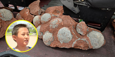 Chơi đùa bên sông, cậu bé vô tình phát hiện nguyên ổ trứng khủng long hóa thạch