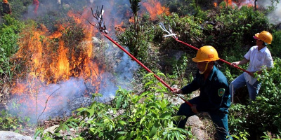 Người phụ nữ tử vong thương tâm khi lên rừng mang nước cho lính cứu hỏa