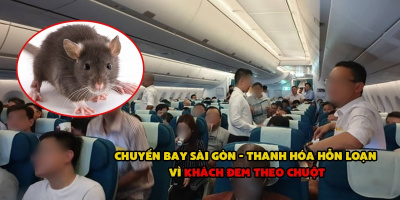 Chuyến bay Sài Gòn - Thanh Hóa náo loạn vì hành khách giấu chuột vào túi xách, mang lên máy bay