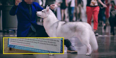 Tổ chức "lễ hội cún cưng" nhưng cấm chó cỏ tham gia, khu vui chơi có tiếng bị chỉ trích sính ngoại