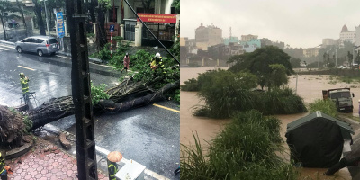 Ảnh hưởng của bão số 3: Cây xanh bật gốc ngổn ngang tại Hà Nội, nhiều tỉnh ngập sâu trong biển nước