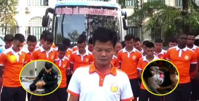 HLV CLB Nam Định cúi đầu xin lỗi người hâm mộ, CĐM: Quýt làm cam chịu