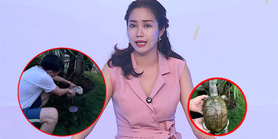 Ốc Thanh Vân tiếc thương chú rùa được chồng tặng 20 năm đã mất