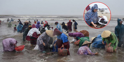 Cả tấn sò vẹm tràn vào bờ sau cơn bão, người dân Hà Tĩnh "trúng mánh"