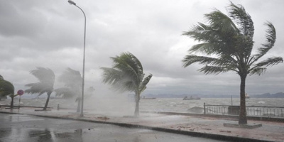 Áp thấp nhiệt đới mạnh lên thành bão số 5, gió giật cấp 10