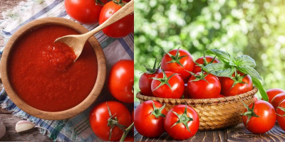 Cà chua có tác dụng gì? Lợi ích không ngờ từ cà chua mà bạn chưa biết