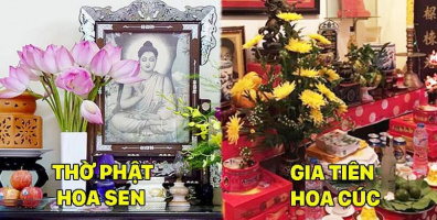 Chọn hoa đặt bàn thờ ngày Tết để năm mới an khang, thịnh vượng