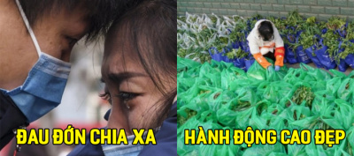 Những hình ảnh có ý nghĩa sâu xa khiến người xem dễ rơi nước mắt