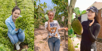 Những sao Việt sở hữu vườn rau, vườn trái cây "cò bay thẳng cánh"