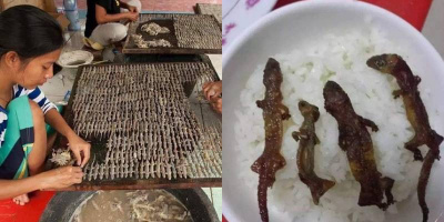 Đặc sản khô thạch sùng hút khách miền Tây, liệu bạn có dám thử?