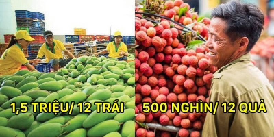 6 loại quả đặc sản ở Việt Nam được bán giá “trên trời” tại nước ngoài
