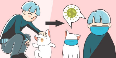 Mèo cưng của bệnh nhân mắc Covid-19 cũng dương tính với virus Corona