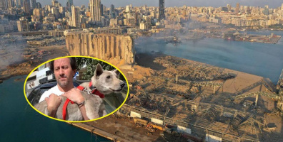 Tổ chức từ thiện động vật giúp thú cưng tìm lại chủ sau vụ nổ Beirut