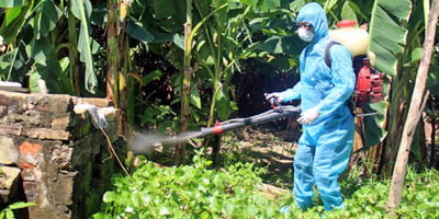 TP.HCM khẳng định nguy cơ lây nhiễm Chikungunya từ Campuchia không cao