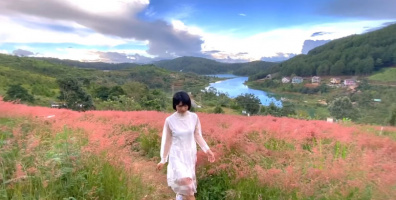 Xiêu lòng với đồi cỏ hồng mọc sớm đầy lãng mạn ở Đà Lạt