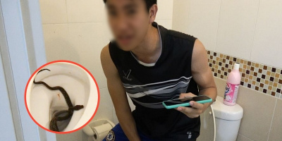 Nam thanh niên bị rắn cắn trúng chỗ hiểm khi đang đi vệ sinh