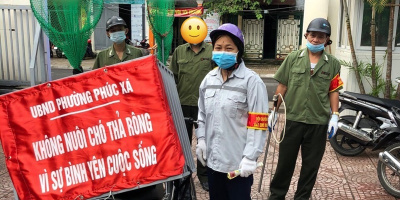 Quận Ba Đình lập tổ phản ứng nhanh bắt chó thả rông nơi công cộng