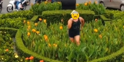 TikToker nước ngoài gây bức xúc vì làm video giẫm chân lên vườn hoa
