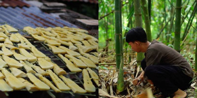 Măng rừng: Món ăn dân dã cực "đưa cơm" được mem Việt Nam Ơi yêu thích