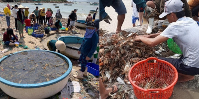 Xót xa hình ảnh Phú Yên mất trắng cá tôm chỉ sau một đêm bão