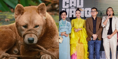 Bị tẩy chay, "Cậu Vàng" thua lỗ nặng nề nhất trong lịch sử phim Việt