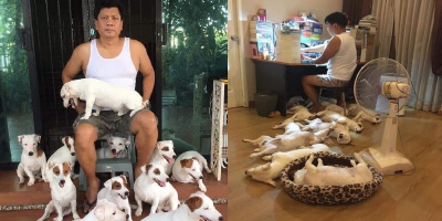 Vợ đòi nuôi 2 con chó và cái kết “tan cửa nát nhà” sau 3 năm