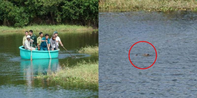 Vụ cá sấu hồ Vũng Tàu: Chưa thể bắt vì tìm dưới hồ không ra tung tích