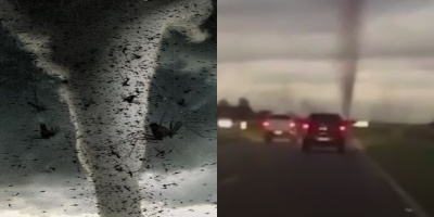 Nổi da gà với "lốc xoáy muỗi" xuất hiện trên đường cao tốc