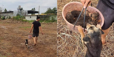 Dẫn sen đi nhặt con mà boss mẹ liên tục "kiểm tra quân số" thế này đây