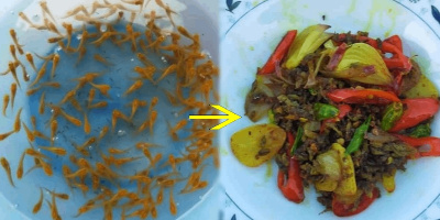Nấu đồ có sẵn đãi khách, chàng trai bị CĐM ném đá vì cho rằng "ác quá"