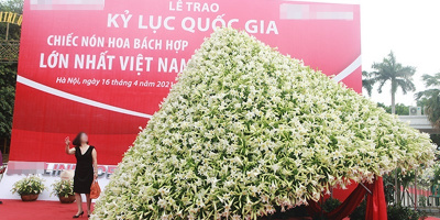 Nón hoa loa kèn xác lập Kỷ lục Việt bị chê cười, Ban tổ chức nói gì?