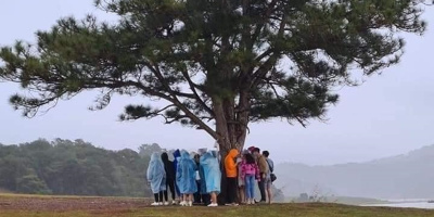 Lo lắng nhóm du khách trú mưa dưới cây thông cô đơn ở Đà Lạt