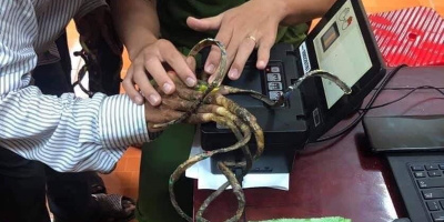 Hốt hoảng người đàn ông mang bộ móng tay siêu dài đi làm CCCD