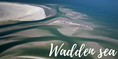 Biển Wadden: Vẻ đẹp của thiên nhiên được Google Doodle tôn vinh là gì?