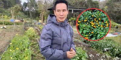 Mùa giãn cách của Lý Hải: đi làm vườn, thu hoạch ớt nửa tỷ/kg
