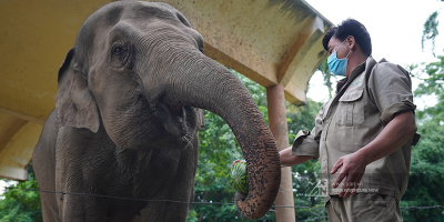 AEON Việt Nam đã hỗ trợ bầy thú tại Thảo Cầm Viên hơn 1 tấn thực phẩm