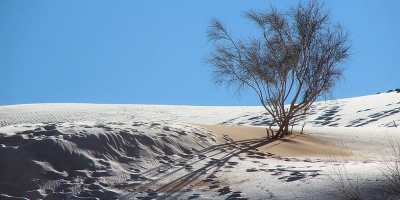 "Chảo lửa" Sahara lại đón tuyết rơi: Đẹp một cách khó tin