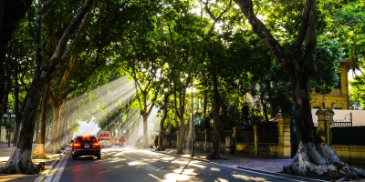 Thủ đô Hà Nội rừng trong phố bát ngát màu xanh