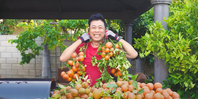 Mê mệt trước khu vườn mùa hè trĩu quả của sao Việt, ai cũng "mát tay"