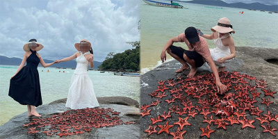 Đam mê "sống ảo", nhóm du khách xếp hàng trăm con sao biển lên đá chụp