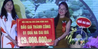 3 quả na Lạng Sơn có giá lên tới hàng trăm triệu đồng