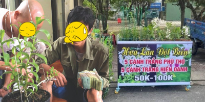 Hùn vốn chơi lan đột biến rồi vỡ mộng, anh rể phải đền tiền cho em vợ