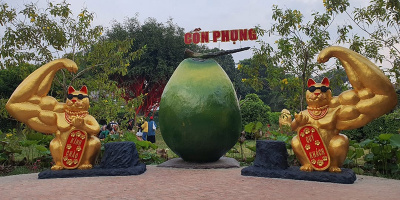 Xuất hiện “mèo lực sĩ” ở Bến Tre, tạo hình khiến ai nấy đều phì cười